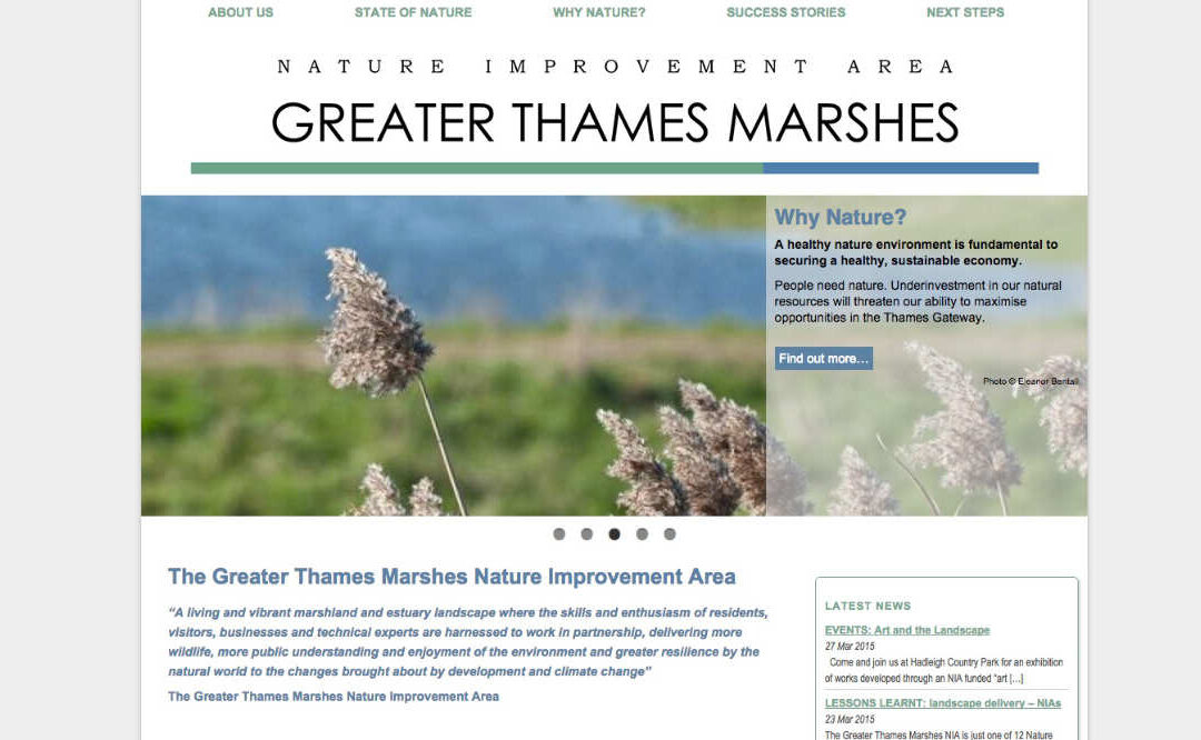 Greater Thames Marshes NIA